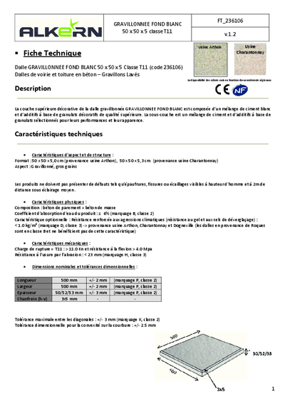 FT-236106-Grav.-Fond-Blanc-0100-50x50x5-T11-vAlkern.pdf