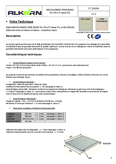 FT-236106-Grav.-Fond-Blanc-0100-50x50x5-T11-vAlkern.pdf