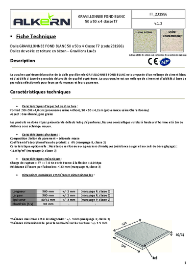 FT-231986-Grav.-Fond-Blanc-0100-50x50x4-T7-vAlkern.pdf