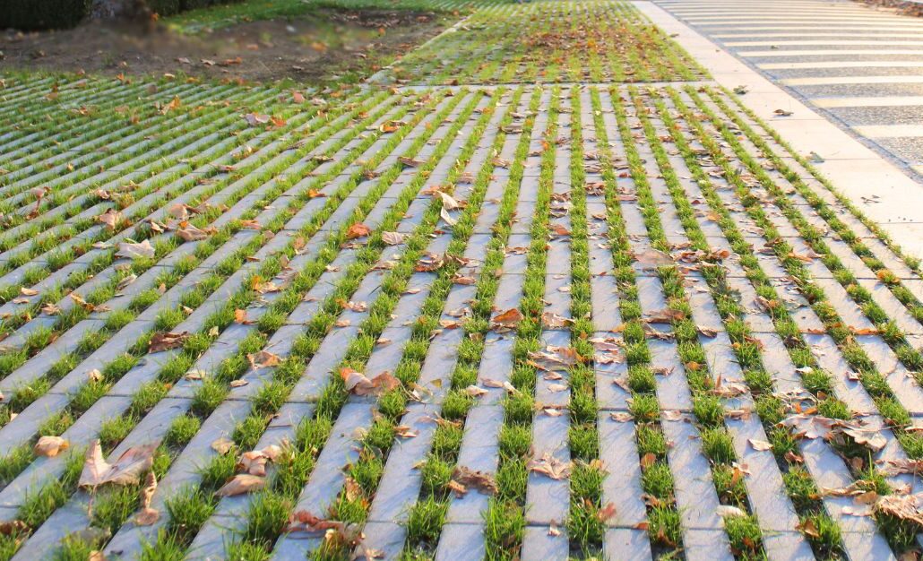 Les allées à Wevelgem se végétalisent avec LinO’green.